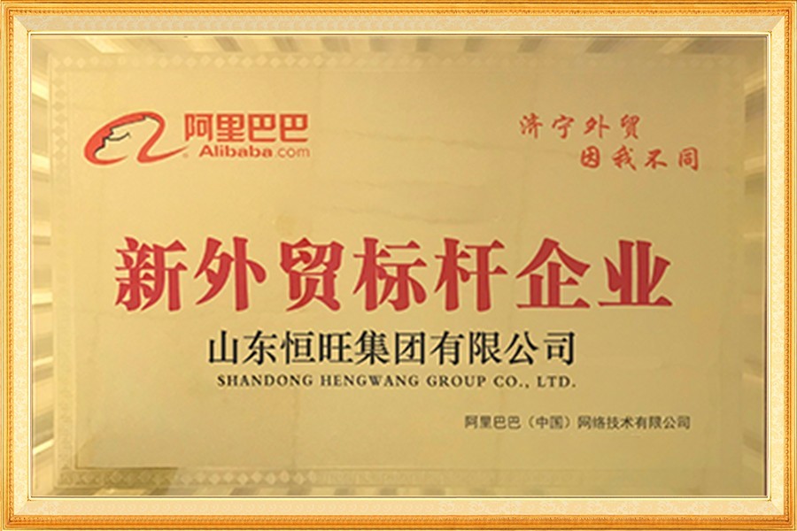 阿里巴巴新外貿標桿企業